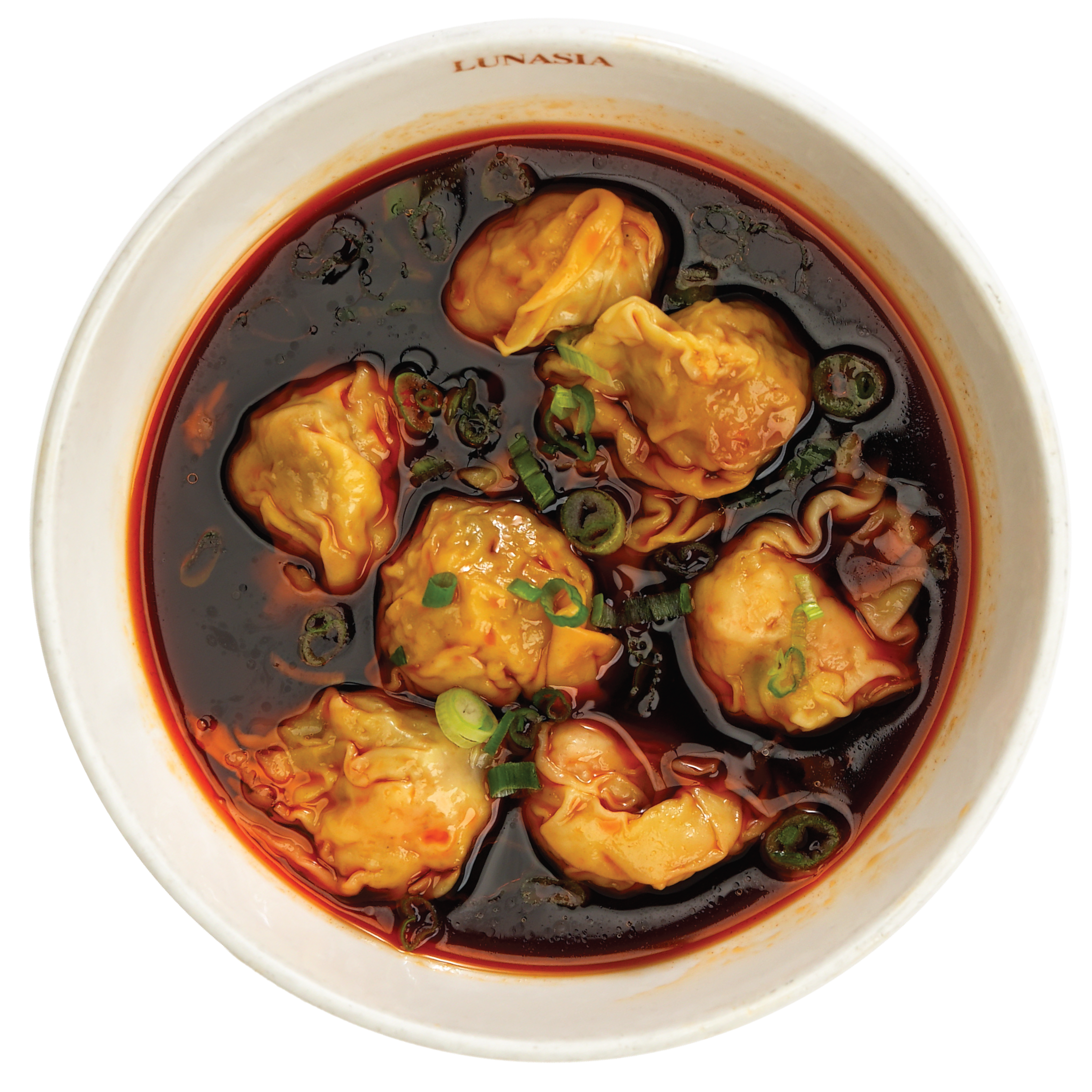 Pork and Shrimp Wonton Soup