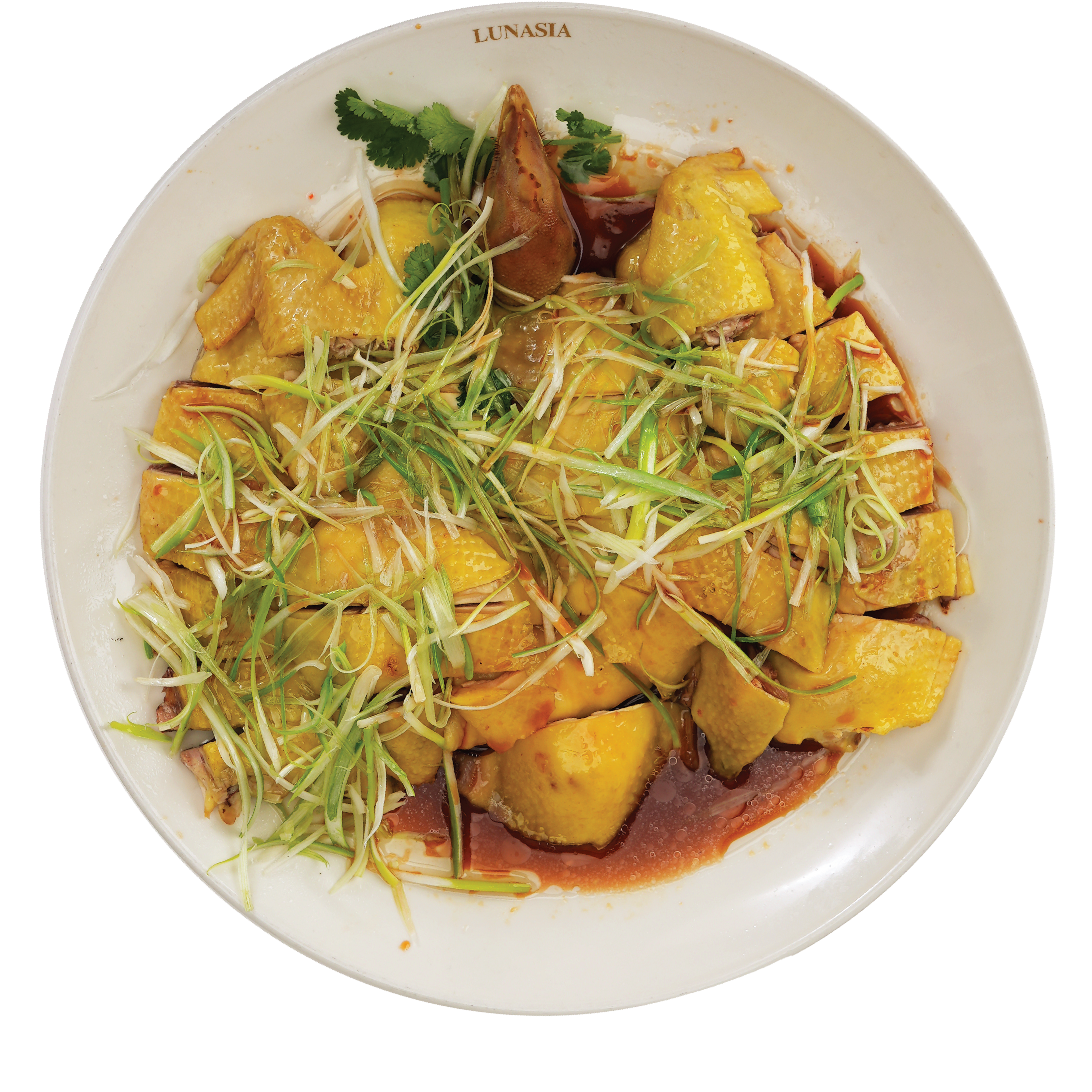 Poached Chicken with Scallion Oil