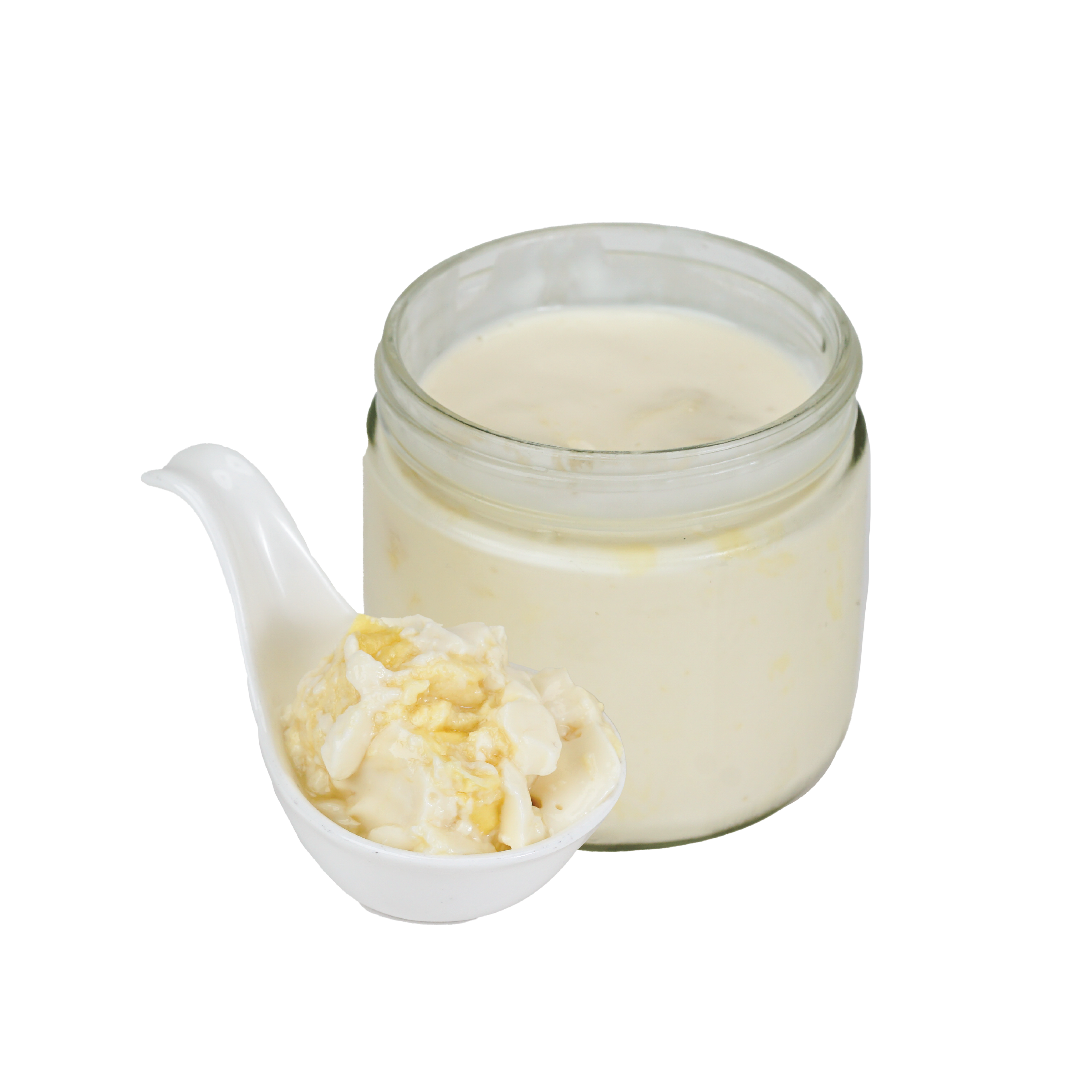 Durian Soy Milk Pudding